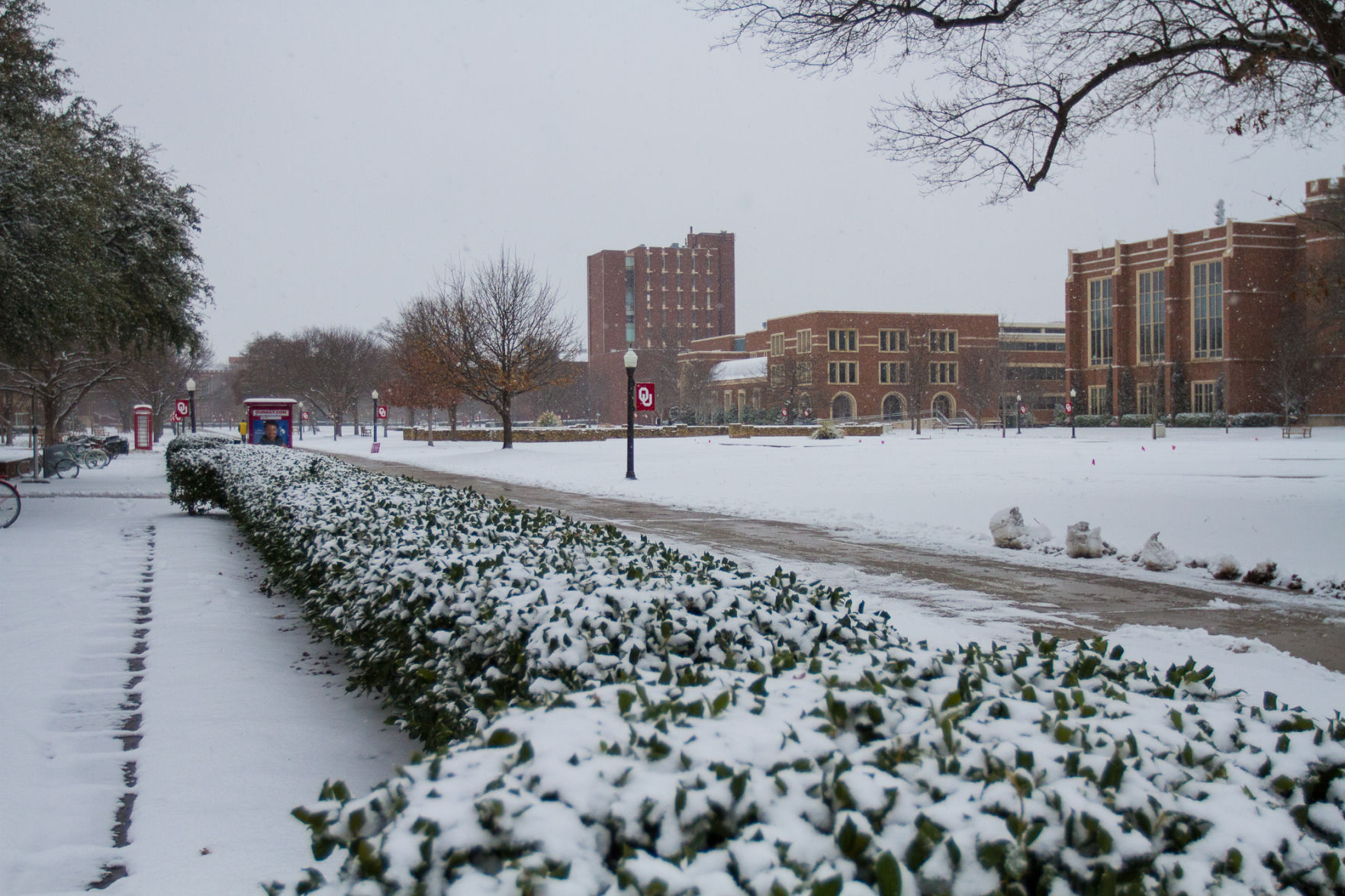 South Oval
